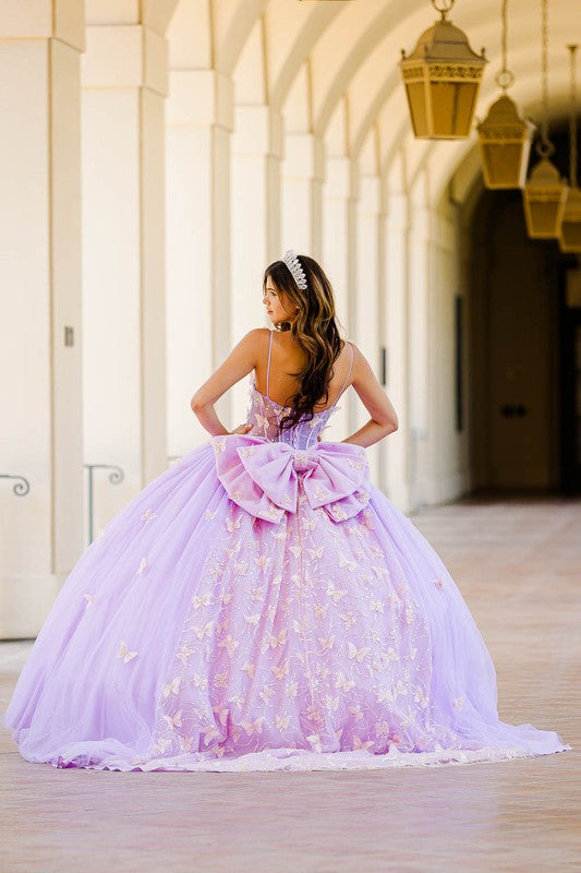 Corset Bodice Two-Tone Butterfly Dress
