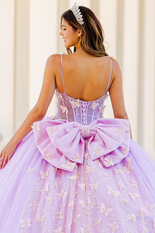 Corset Bodice Two-Tone Butterfly Dress