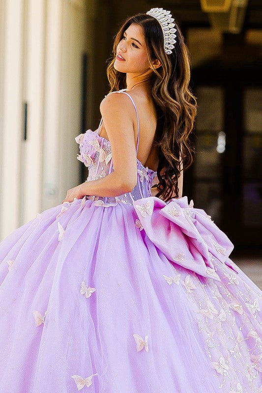 Corset Bodice Two-Tone Butterfly Dress