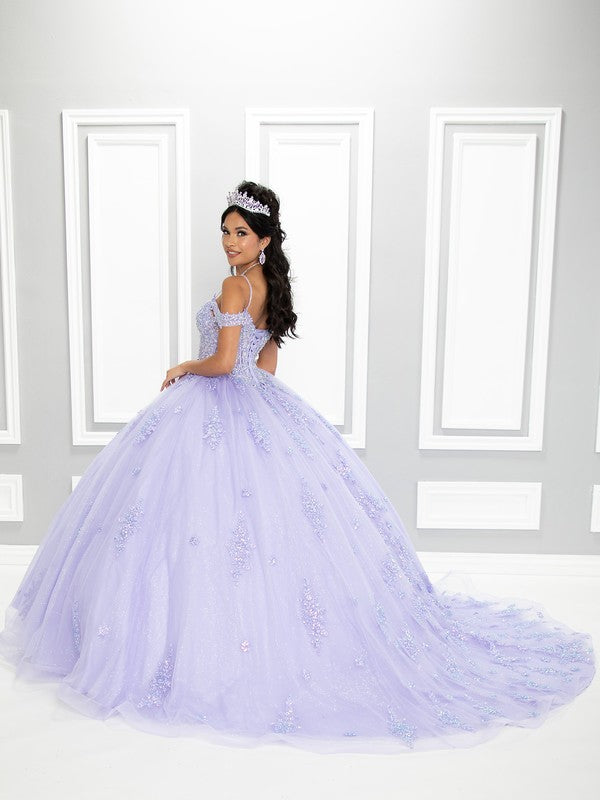 Glittered Tulle Sheer Corset Bodice Dress