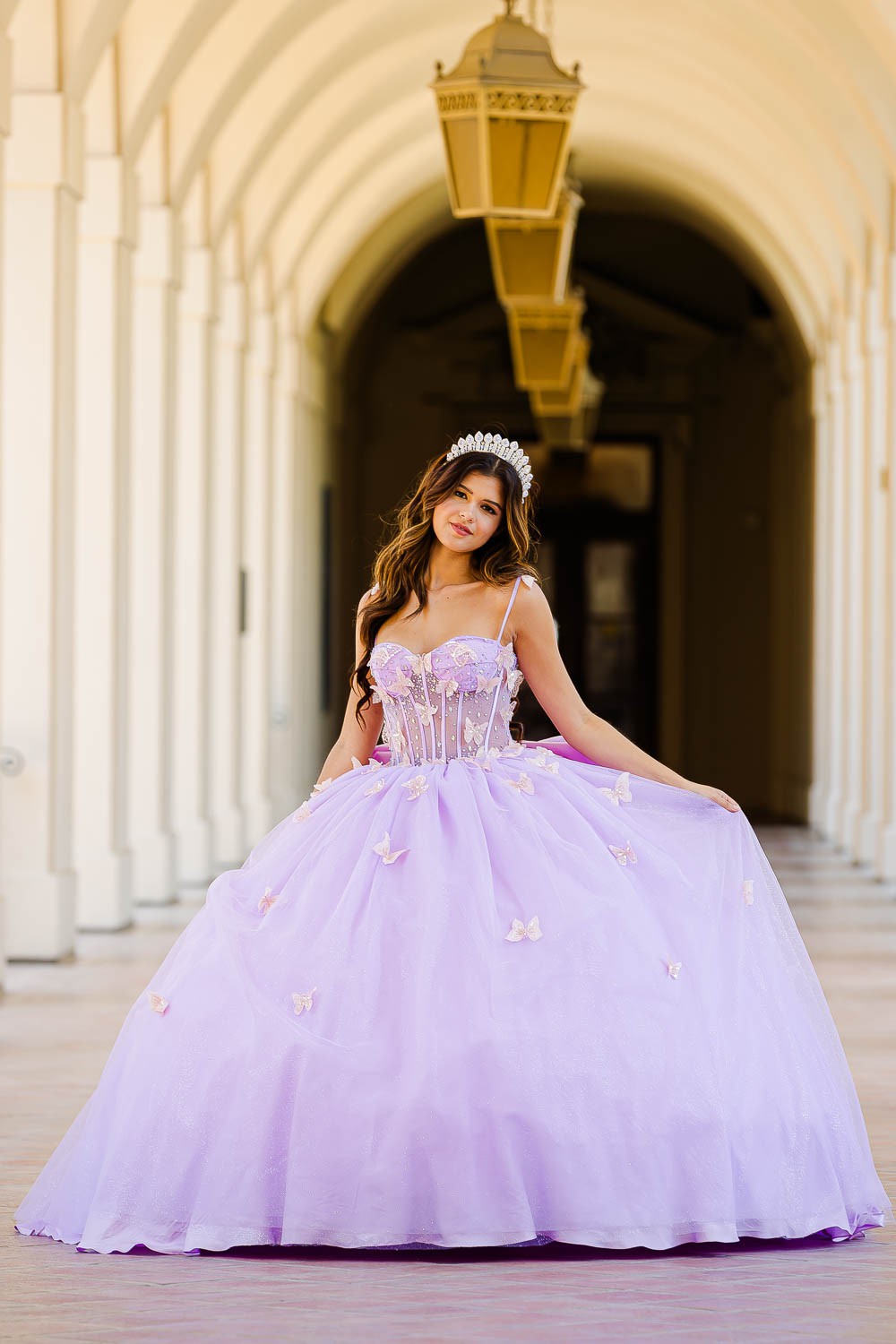 Corset Bodice Two-Tone Butterfly Dress